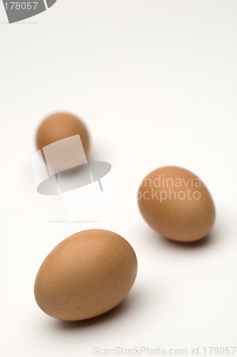 Image of egg