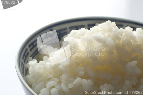 Image of rice