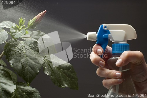 Image of spray