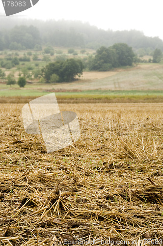 Image of Stubble mulch