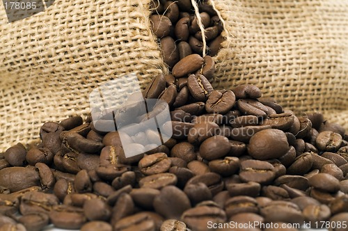 Image of Coffee beans