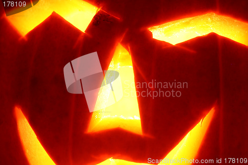 Image of halloween pumpkin