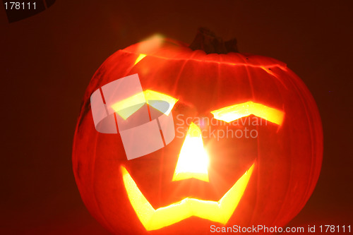 Image of halloween pumpkin