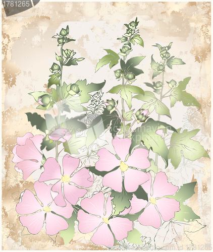 Image of Pink flowers mallow with green leaves. Greeting card with mallow.