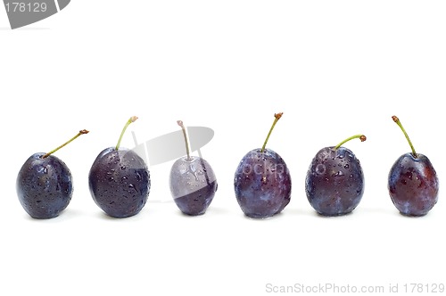 Image of Plums