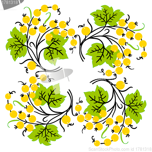 Image of Bunch of yellow currant. Ripe berry. 