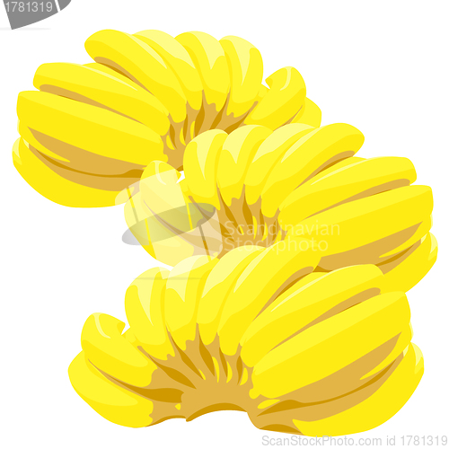 Image of Three bunch of bananas isolated on white background