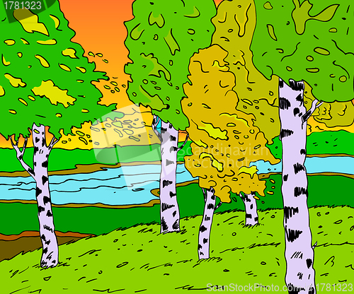 Image of River in a birch forest in autumn