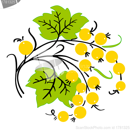 Image of Ripe berry