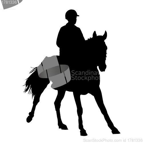 Image of jockey on a horse. Vector illustration.