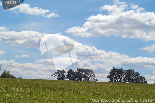 Image of Summer time