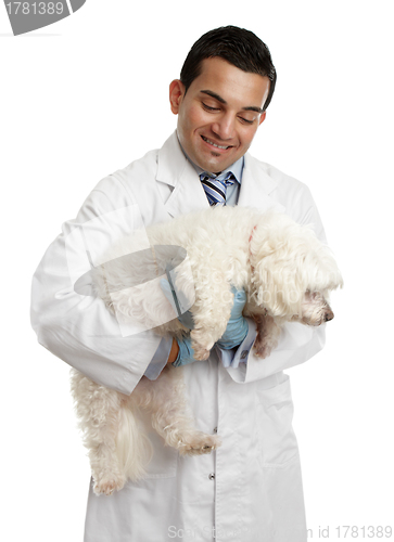 Image of Veterinarian carrying a small dog