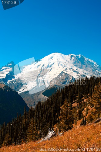 Image of Mt. Rainier