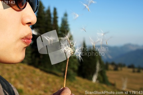 Image of Make a wish