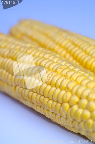 Image of Corn cob