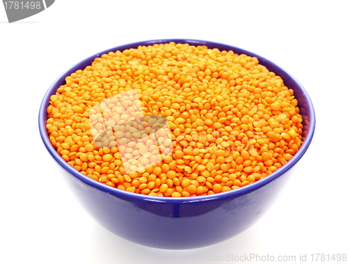 Image of lentil in blue pot