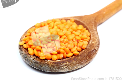Image of red lentil in wooden spoon