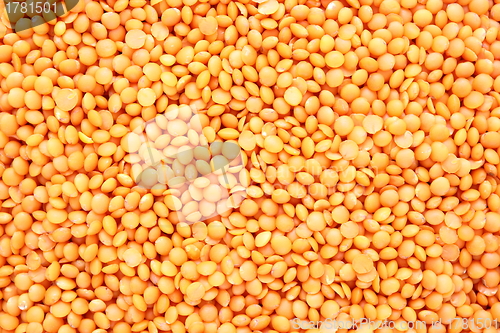 Image of red lentil texture