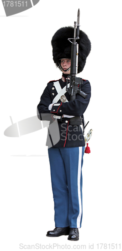 Image of Royal Danish Guardsman