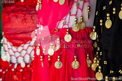 Image of Belly dance costume details 