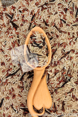 Image of Wild Rice