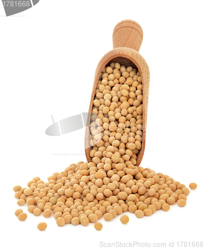 Image of Soya Beans