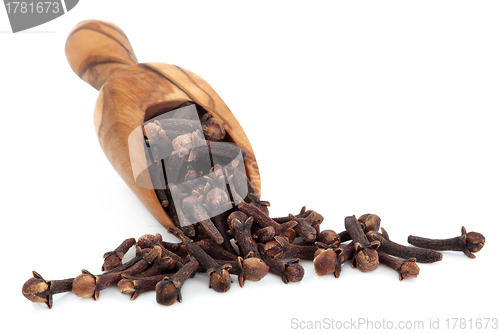 Image of Cloves