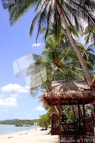 Image of Tropical Beach Scene