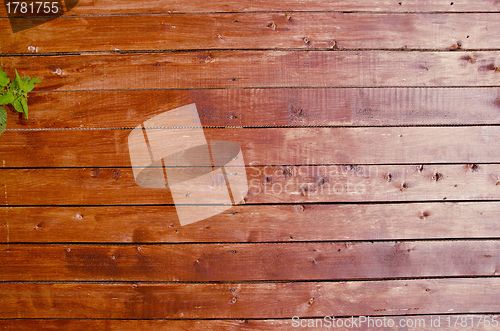 Image of Planks wall background.