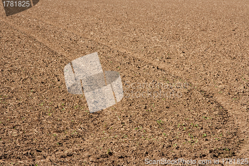 Image of Farmland