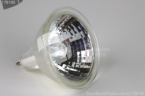 Image of Bulb # 01