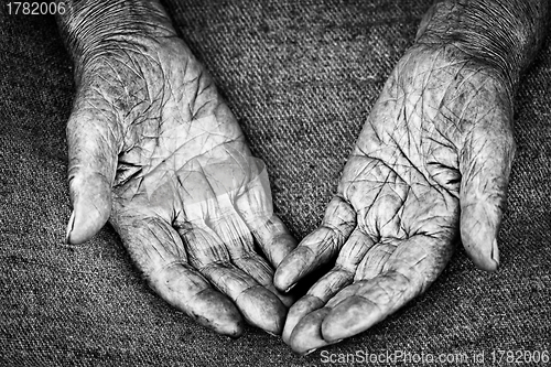 Image of old woman hands