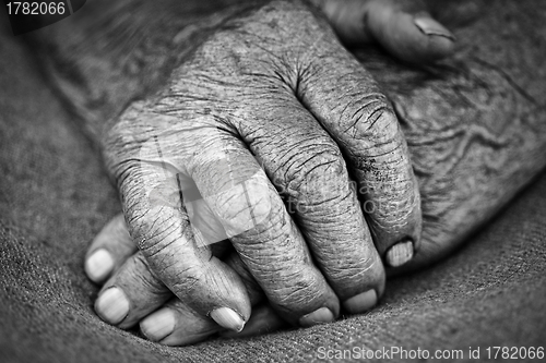 Image of old woman hands