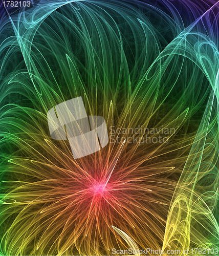 Image of abstract multicolored flower