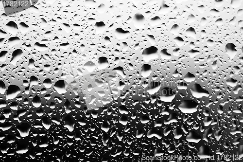 Image of water droplets closeup, monochrome