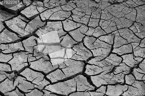 Image of cracked soil