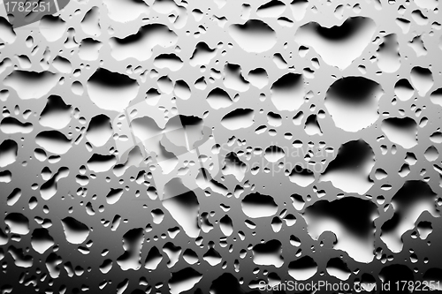 Image of water droplets closeup, monochrome