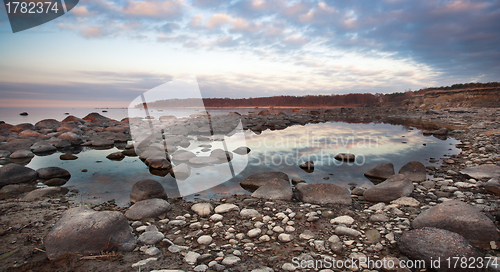 Image of low tide sea shore