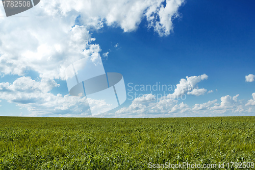 Image of Beautiful summer rural landscape