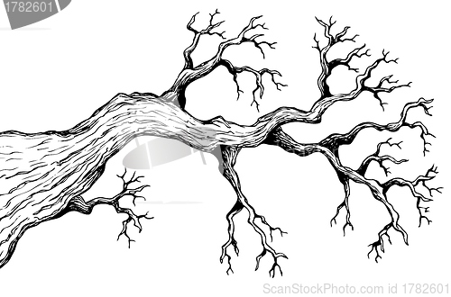 Image of Tree theme drawing 3