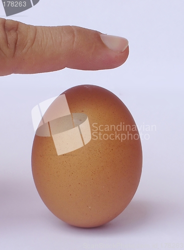 Image of Tense situation - equilibrating a Brown egg