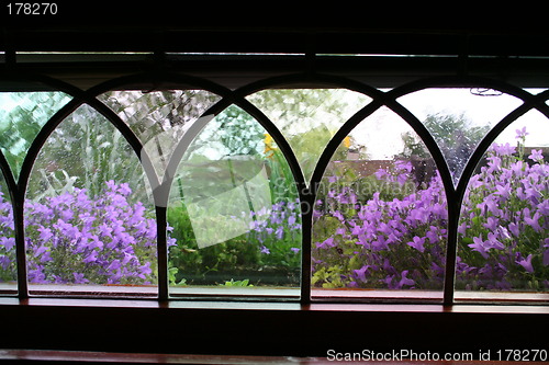 Image of Beautiful window