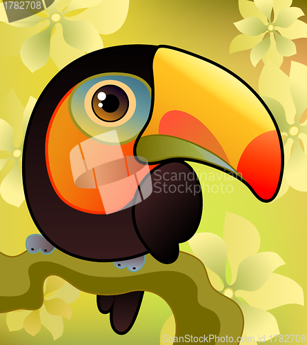 Image of Toucan on the  branch