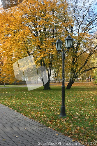 Image of Fall in Riga