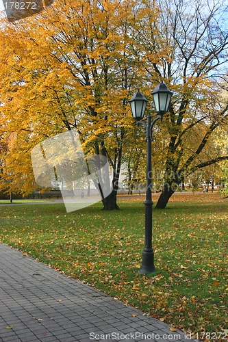 Image of Fall in Riga