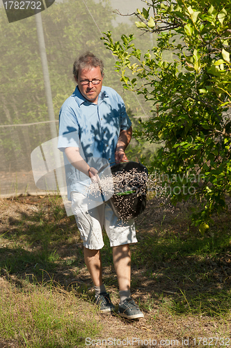 Image of Spreading fertilizer