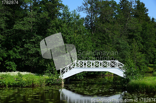 Image of Lake and the bridge