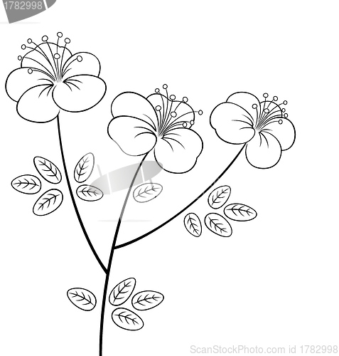 Image of Pretty flower line art