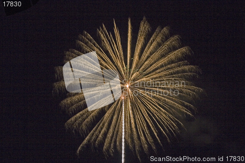 Image of Fireworks