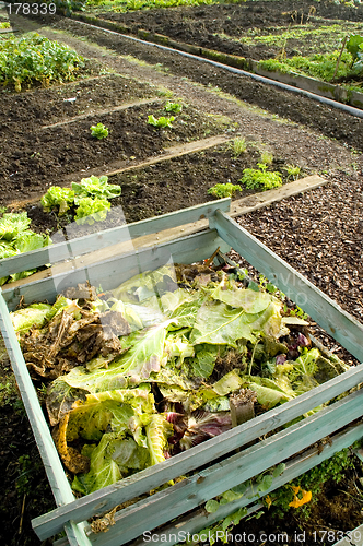 Image of Composting